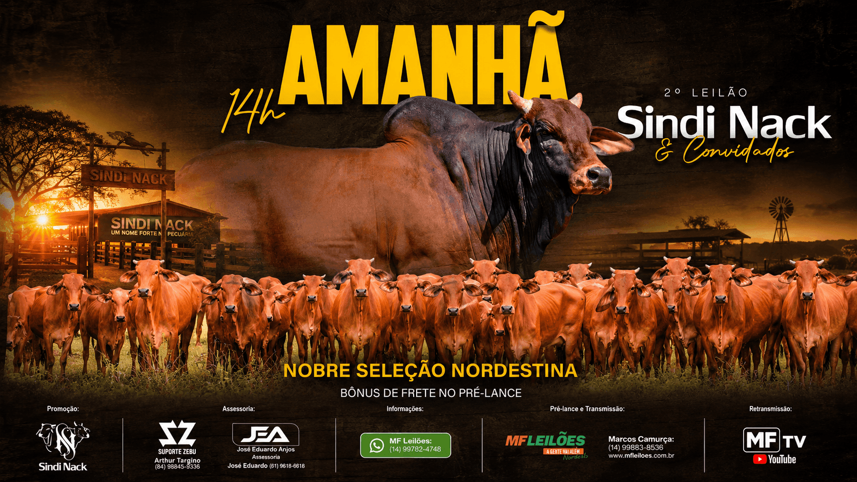 2º Leilão Sindi Nack e Convidados