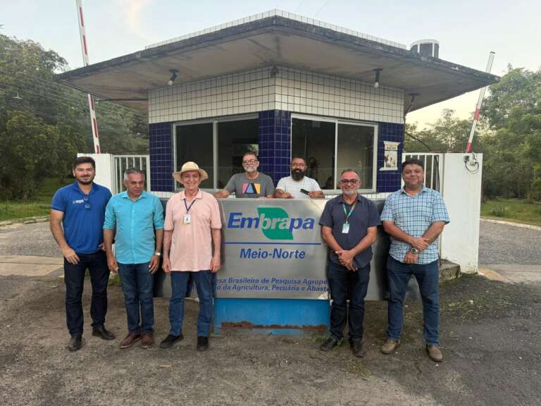 Técnicos da SDA visitam tecnologias da Embrapa para agricultura familiar no Semiárido