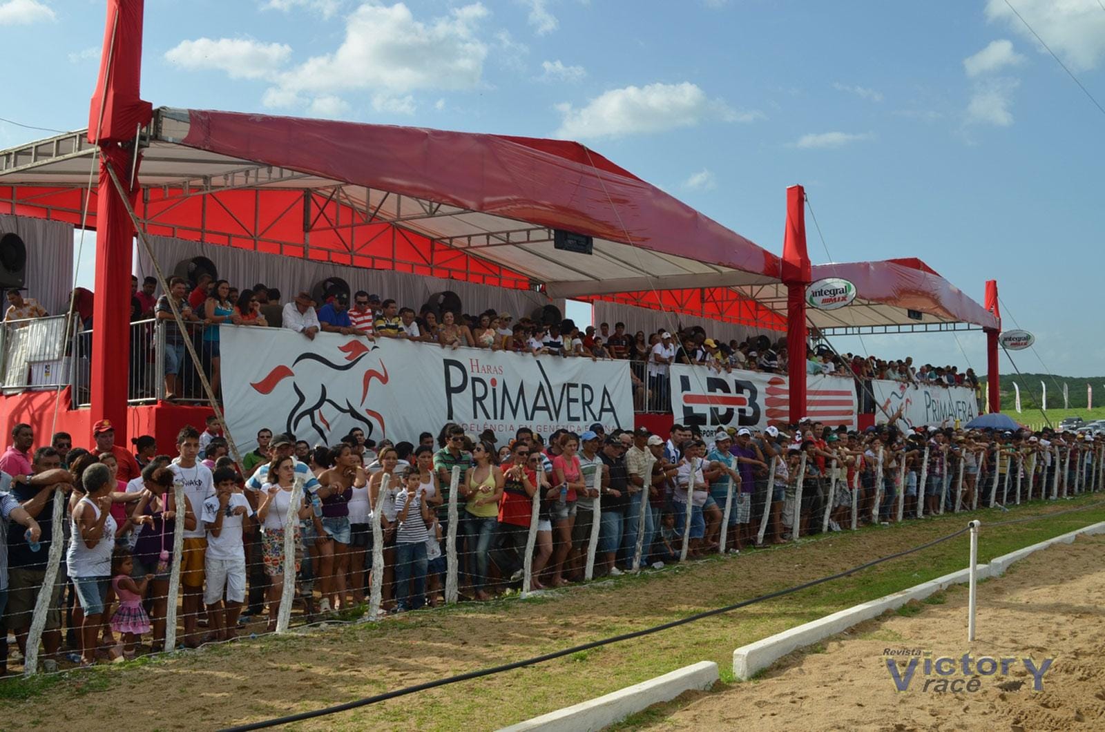 Criador de cavalos no Haras Primavera em Canindé ao lado de garanhões premiados