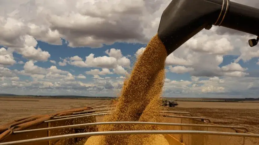 portal-agro-raiz-aprosoja-mt-graos-soja-848x477-1.webp