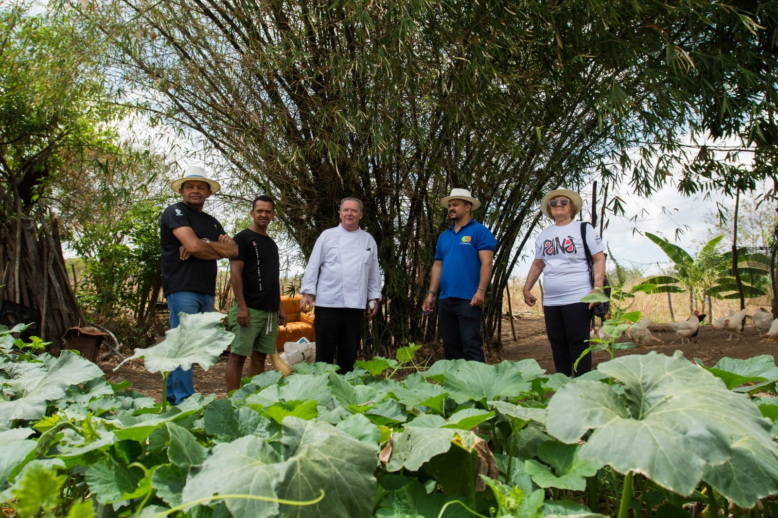 Equipe do projeto Panã em visita a horta de pequenos produtores no Ceará, com plantação de abóbora em primeiro plano e criação de galinhas ao fundo