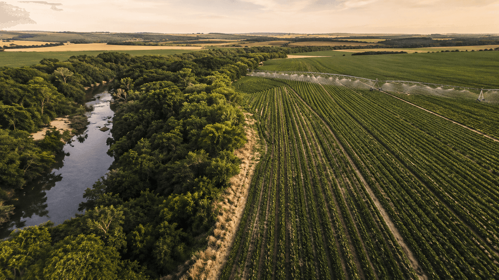 10 questões na agenda sustentável da agropecuária