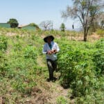 Conheça a Coopersul: Agricultura familiar ganha força com capacitação e acesso a novos mercados no Cariri