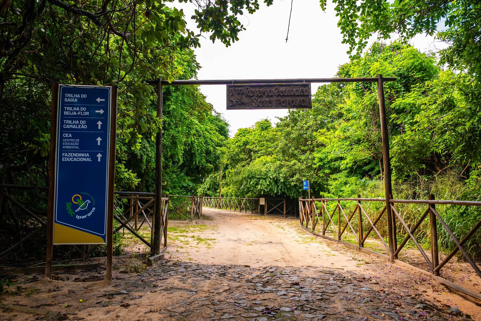 Sesc Iparana Reserva Natural, em Caucaia, tem 12,51 hectares de Mata Atlântica reconhecidos como RPPN pelo ICMBio. Entenda o que muda.
